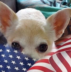 Meet your Posher, Myra